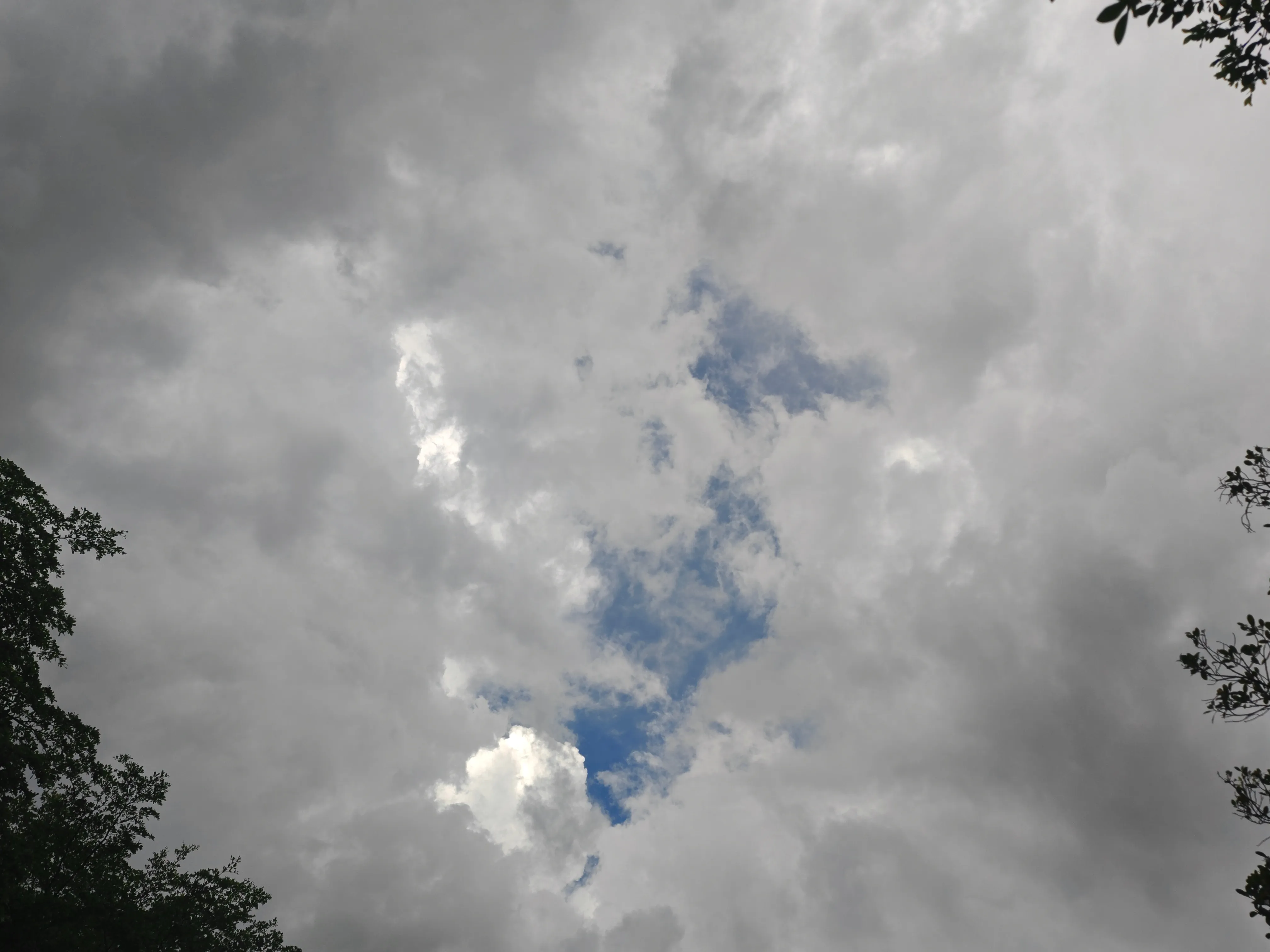 雨后逐渐放晴